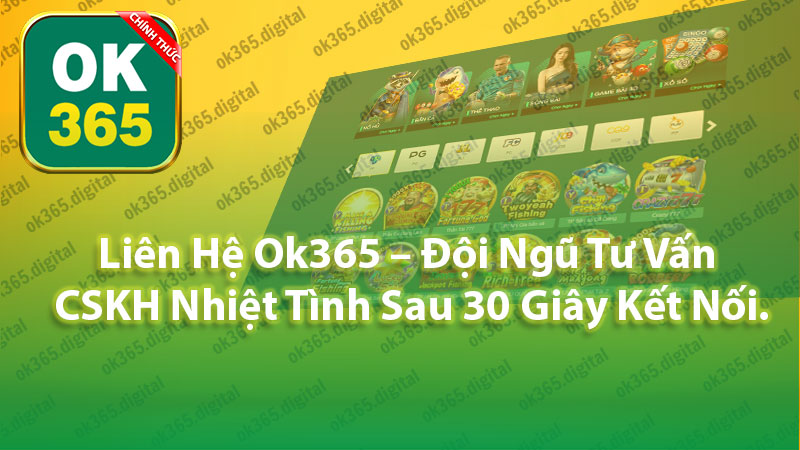 Liên Hệ Ok365