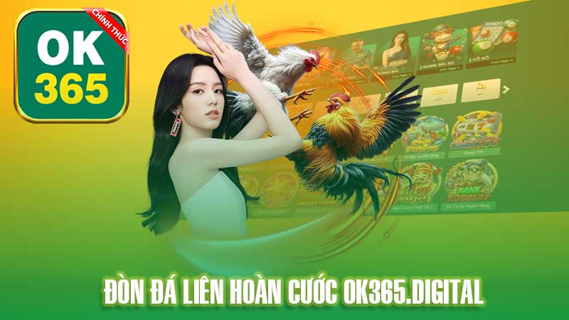 Đòn Đá Liên Hoàn Cước OK365 – Đánh Bại Đối Thủ Chỉ Trong Chốc Lát.