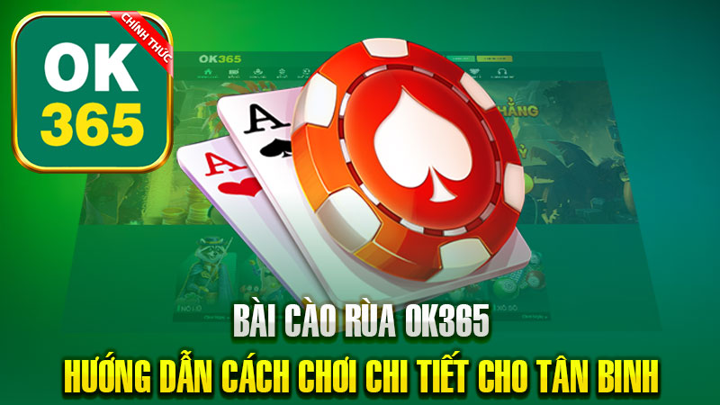 Bài Cào Rùa OK365 – Hướng Dẫn Cách Chơi Chi Tiết Cho Tân Binh